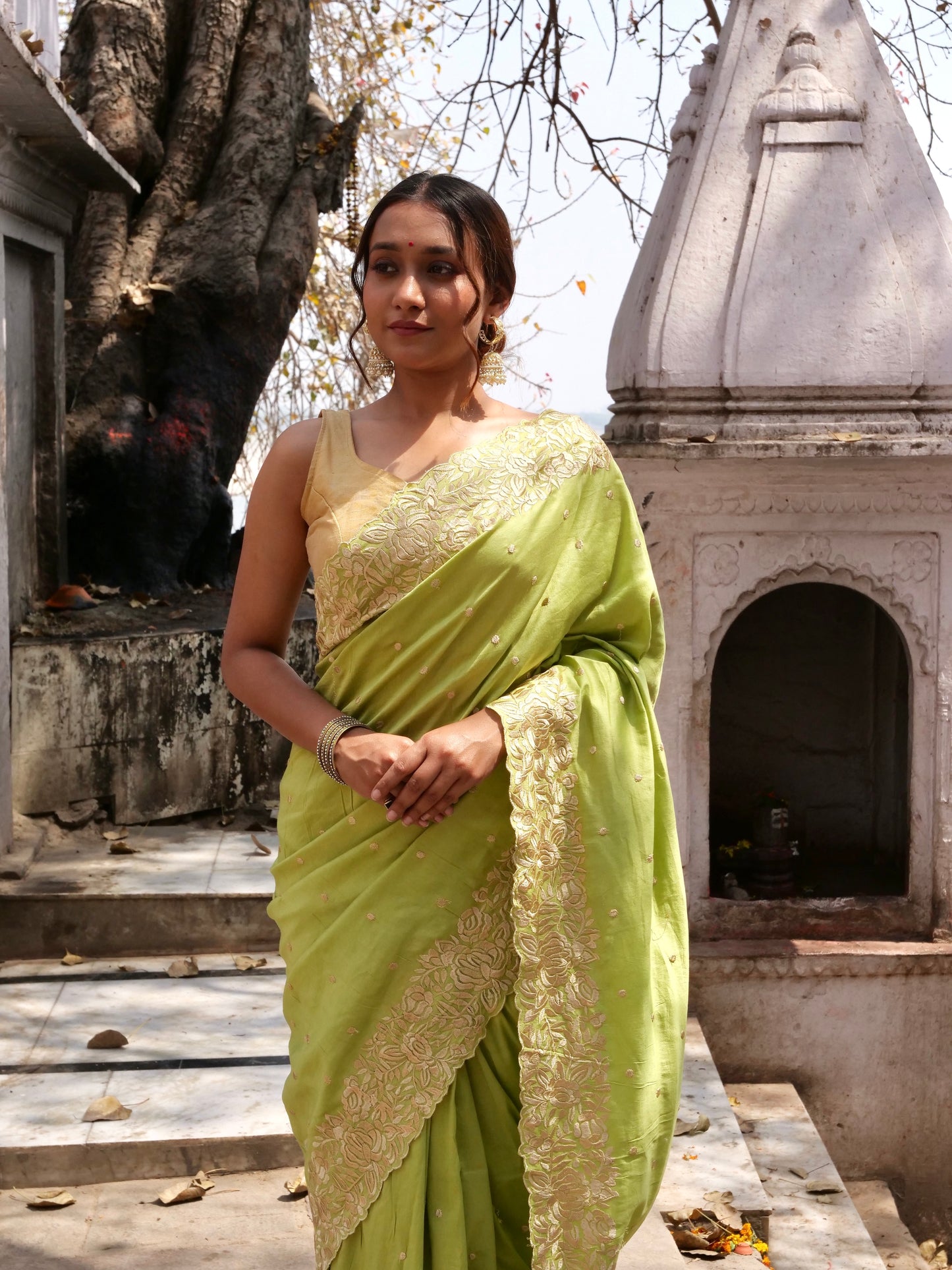 Sage Green Pure Chinya Banarasi Silk Saree