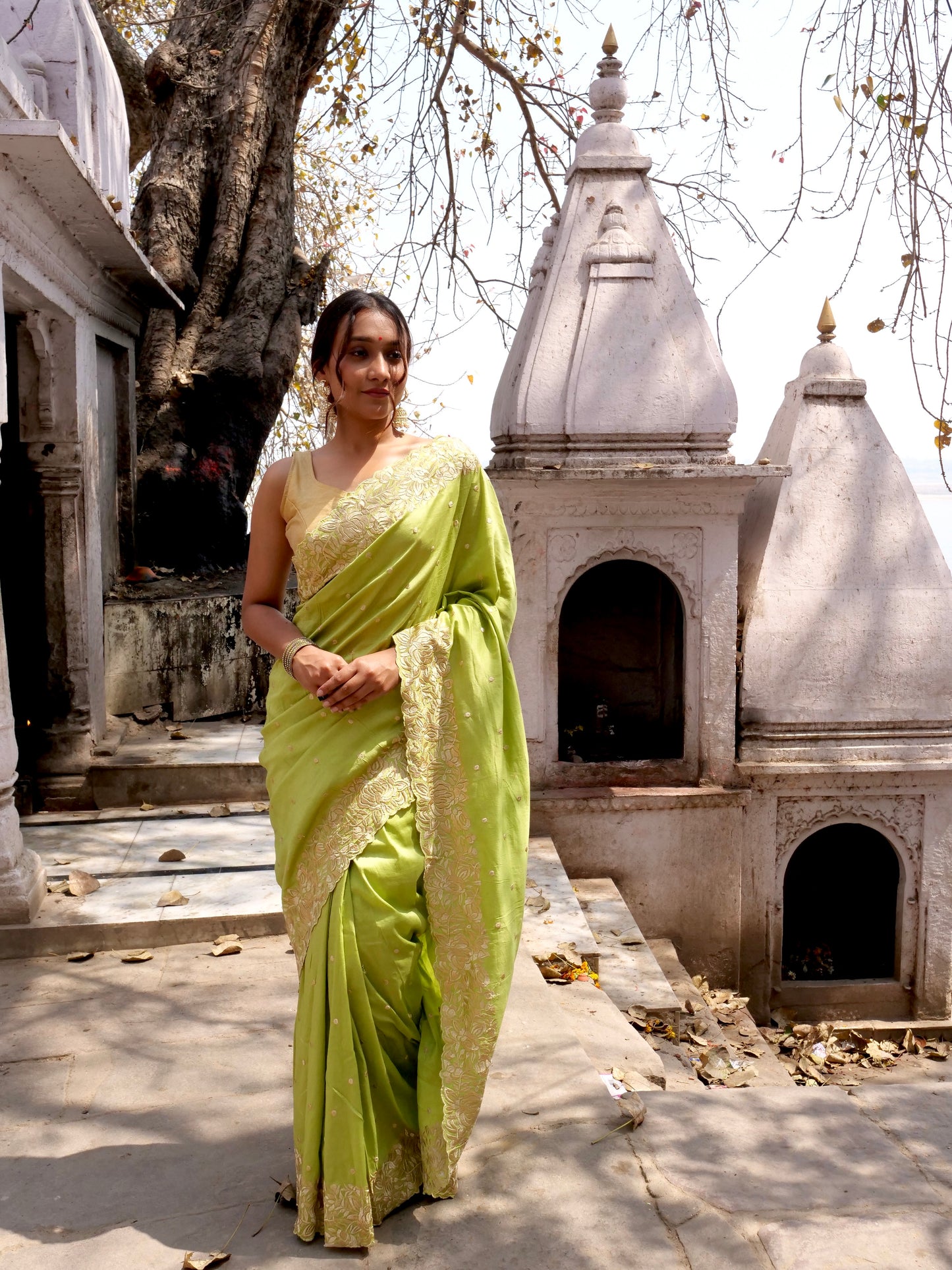 Sage Green Pure Chinya Banarasi Silk Saree