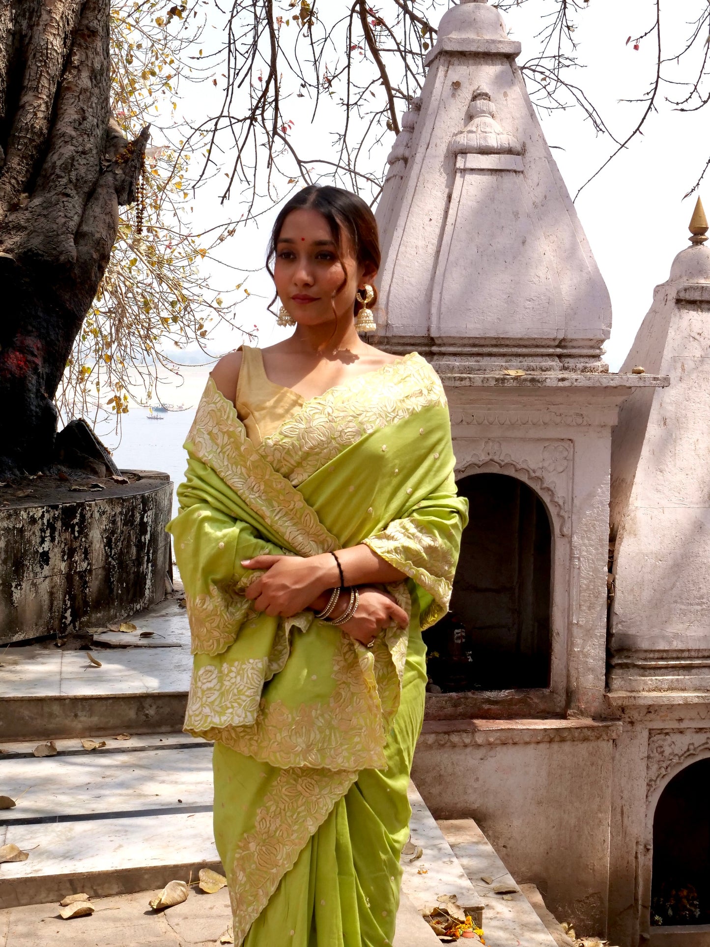 Sage Green Pure Chinya Banarasi Silk Saree